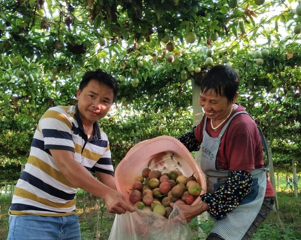 å»æ±è·æ¶è´«èæ ¸âç»¼åè¯ä»·å¥½âç­æ¬¡