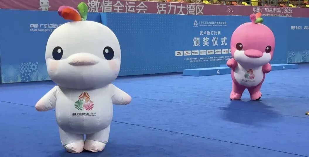 全运会“顶流”,在湛江实力圈粉! 全运会“顶流”,在湛江实力圈粉!