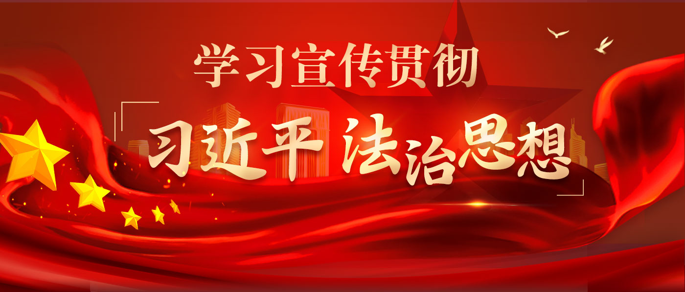 学习宣传贯彻习近平法治思想 学习宣传贯彻习近平法治思想