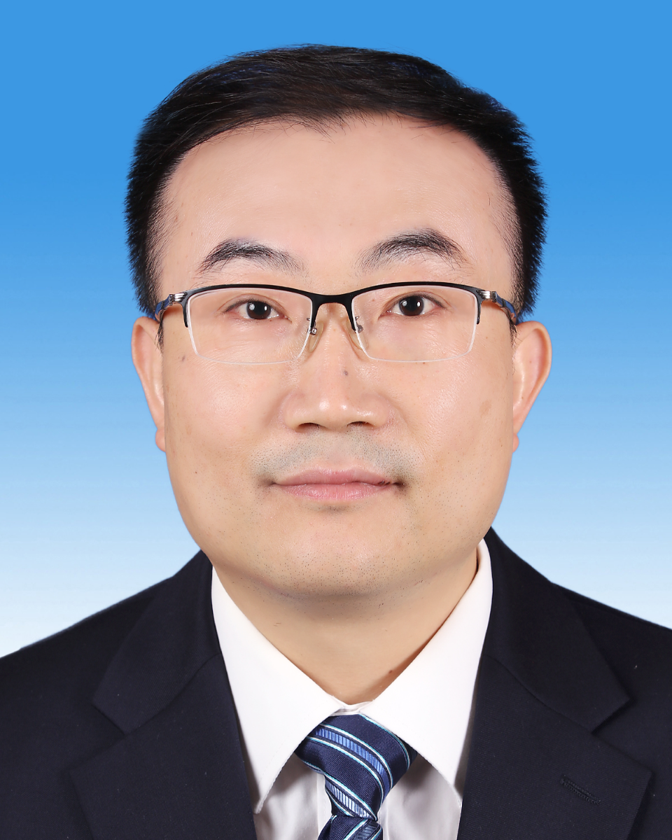 副市长 林伟强 副市长 林伟强