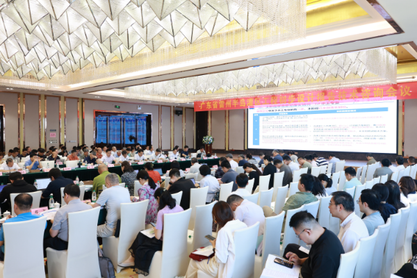 2026.5.26雷州半岛灌区工程初步设计报告技术咨询会议召开.jpeg