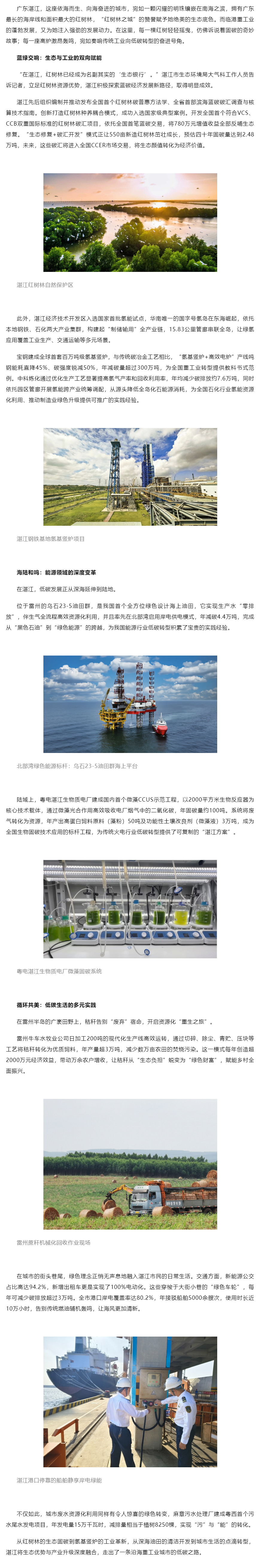 湛江系统推进生态保护与产业升级——中国环境网.png