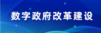 数字政府改革建设 数字政府改革建设