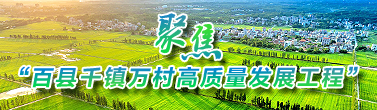 百县千镇万村高质量发展工程 百县千镇万村高质量发展工程