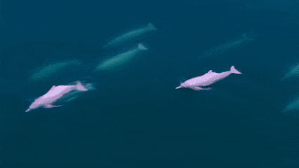 640.gif