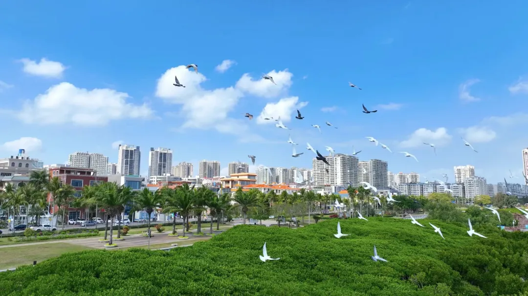 微信图片_20250402223938.png