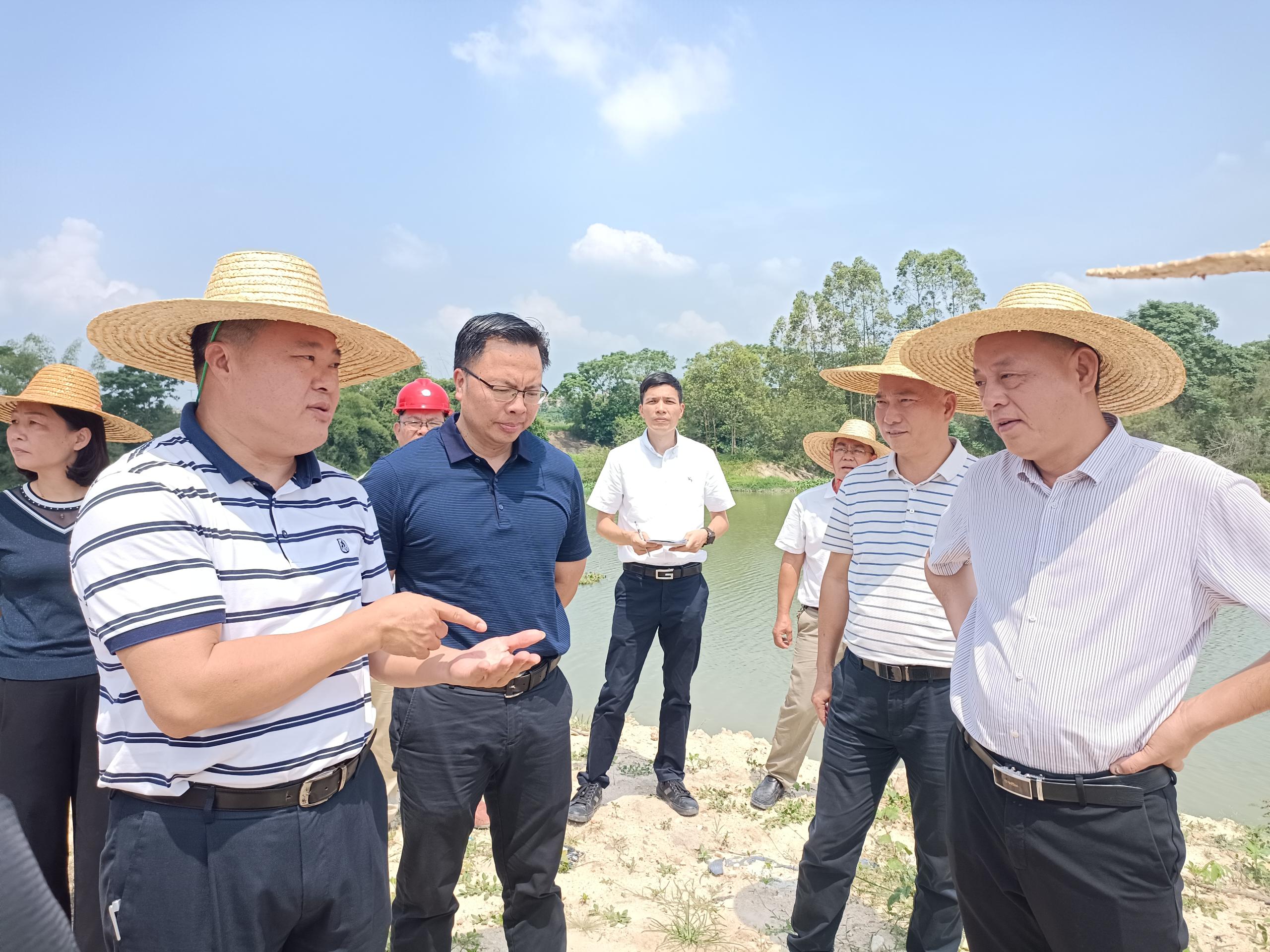 【现场快讯】市信访案件组袁华新组长带队到廉江市现场督导