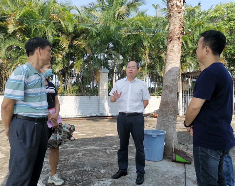 谢伍带队深入市图书馆,市海滨游泳场,市少年儿童图书馆开展工作调研