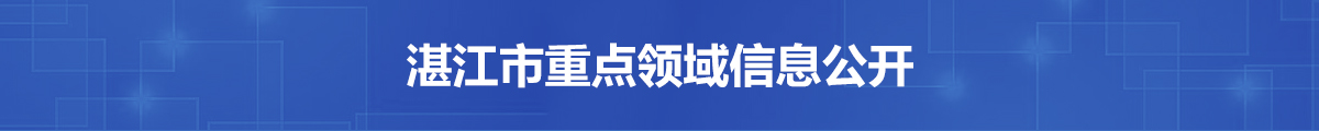 重点领域信息公开